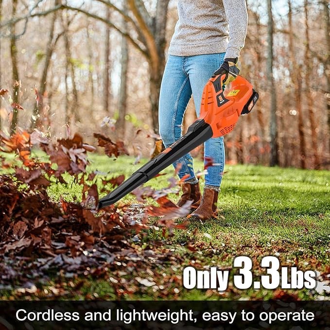 Leaf Blower Cordless,21V Handheld Electric Leaf Blower with 2.0Ah Battery and Charger, 2 Speed Mode, Lightweight Battery Powered Leaf Blower for Lawn Care, Patio, Yard, Sidewalk