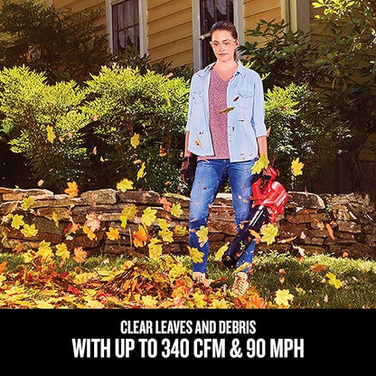 CRAFTSMAN 20V MAX* Axial Leaf Blower Kit (CMCBL700D1)