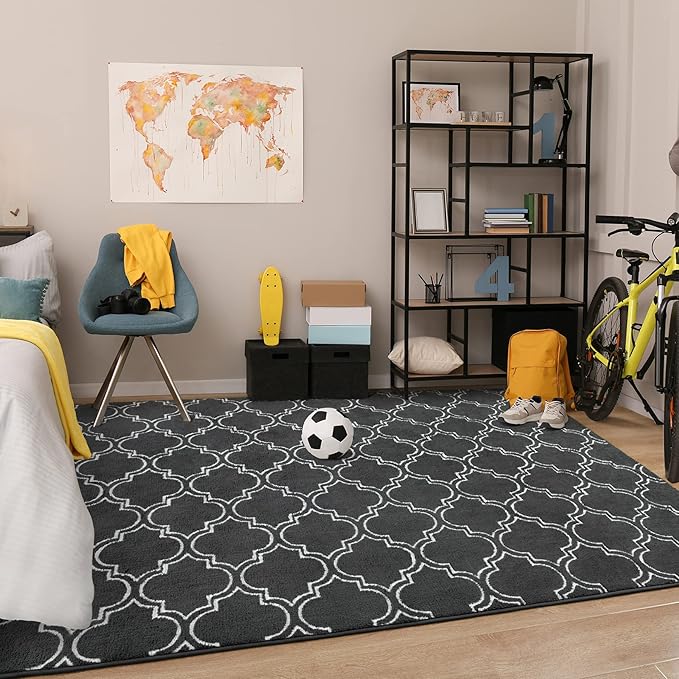 Chicrug Shag Geometric Modern Area Rug for Bedroom, 4x6 Feet Memory Foam Indoor Carpet, Fluffy Rug for Living room Bedside Room Decor for Family Girls Kids Nursery Play Mat, Dark Grey/White