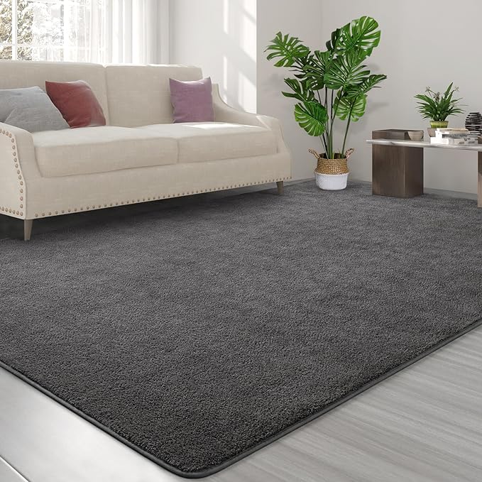 Area Rugs for Bedroom Living Room, 4x6 Dark Grey Super Soft Comfy Thickened Memory-Foam Indoor Carpets, Modern Aesthetic Minimalist Carpet for Boys Girls Adults Apartment Nursery Home Décor