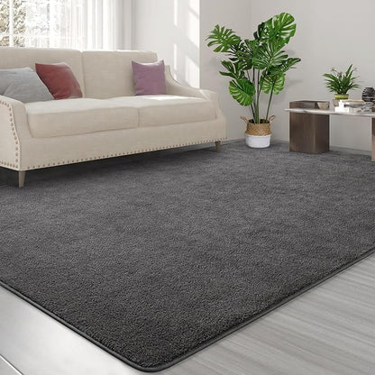 Area Rugs for Bedroom Living Room, 4x6 Dark Grey Super Soft Comfy Thickened Memory-Foam Indoor Carpets, Modern Aesthetic Minimalist Carpet for Boys Girls Adults Apartment Nursery Home Décor