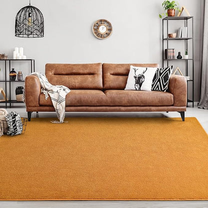 Area Rugs for Bedroom Living Room, 4x6 Orange Super Soft Comfy Thickened Memory-Foam Indoor Carpets, Modern Aesthetic Minimalist Carpet for Boys Girls Adults Apartment Nursery Home Décor