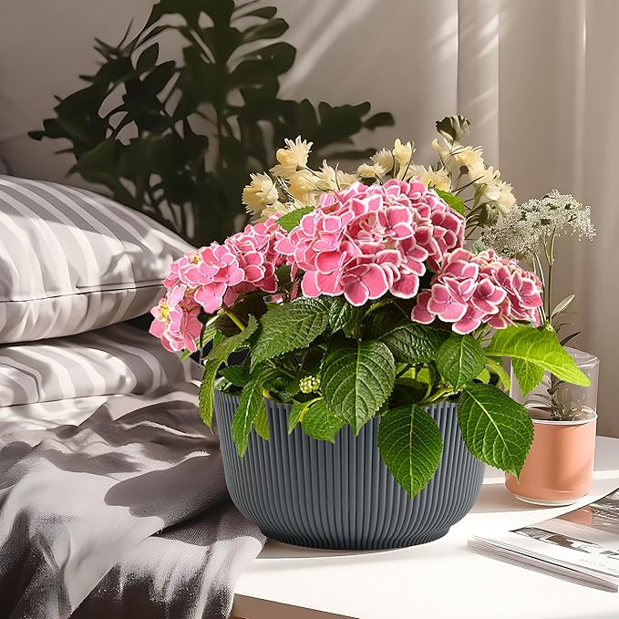 T4U 8 Inch Plant Pots, 2 Pack Self Watering Planter with Drainage Hole, Shallow Plant Pot Indoor, Home Decor Flower Pots for Plants, Cactus, Garden, Gray