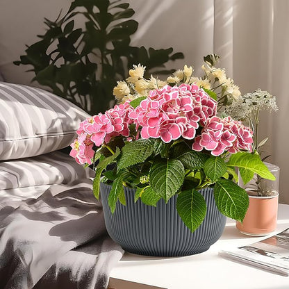 T4U 8 Inch Plant Pots, 2 Pack Self Watering Planter with Drainage Hole, Shallow Plant Pot Indoor, Home Decor Flower Pots for Plants, Cactus, Garden, Gray