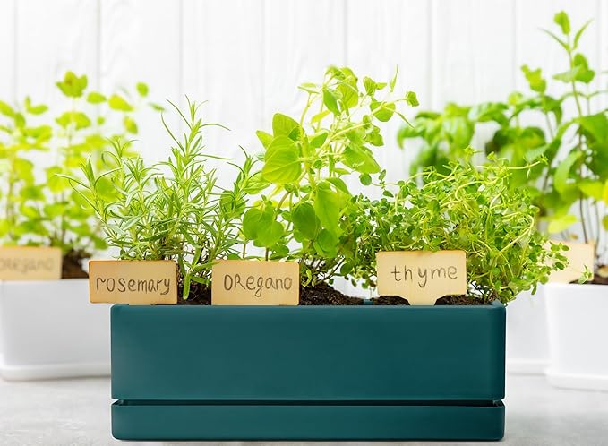 D'vine Dev 12 Inch Window Box Planter, Rectangle Plastic Herb Planter with Drainage Holes and Saucer, Indoor Succulent Cactus Vegetable Pot for Windowsill, Garden Balcony, Green, Set of 2, 76-X-C-2
