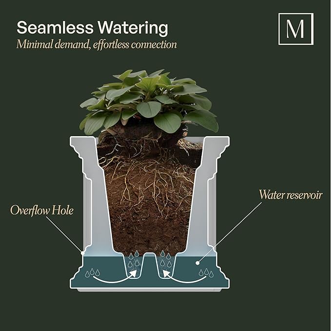Mayne Fairfield 3-Foot Window Box – Self-Watering, Weather-Resistant Planter for Flowers – Durable Design for Outdoor Use, Perfect for Windows