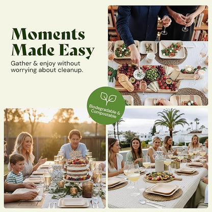 Chic Leaf Palm Leaf Plates Disposable Inch Square Pack Compostable Biodegradable & Eco Friendly Plates - Microwave Safe Disposable (10'' - 25 Pack)