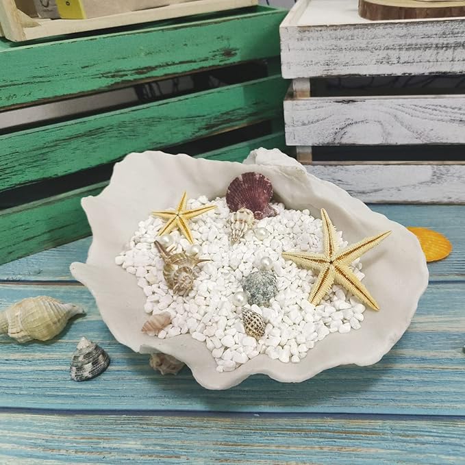 Accessoryway Large White Sea Shells Decorative Bowl Resin Clam Shell Bowl Beach Decorations for Home Coastal Beach Decor Decoration Storage Bowls & Home Office Nautical Themed Party Decor -10.2"-1PC