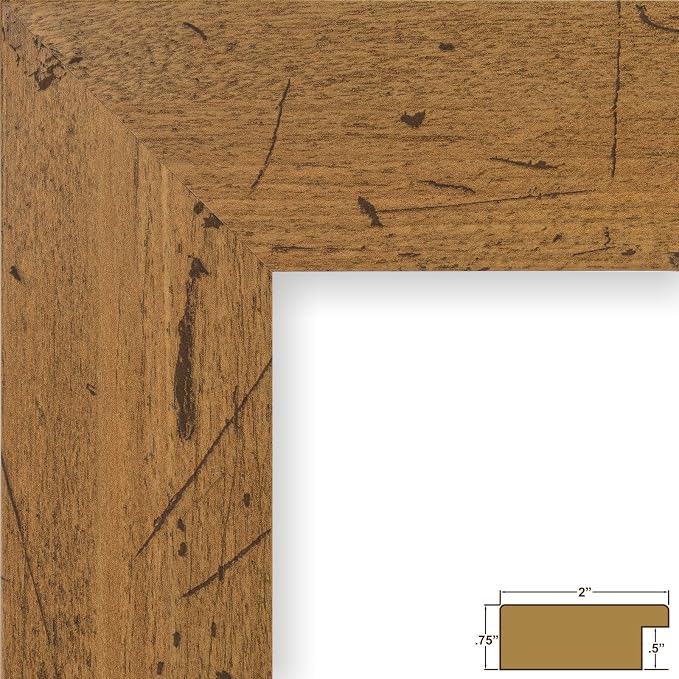 Craig Frames 16x24 Light Walnut Brown Picture Frame for Posters and Photos | Lightweight shatter resistant acrylic facing with a rigid backing board, made in the USA