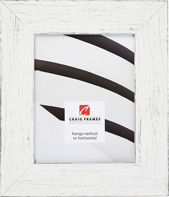 Craig Frames Jasper Wide Picture Frame, 19 x 25 Inch, Country Marshmallow White