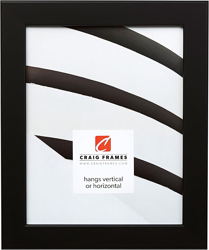 Craig Frames 20x27 Black Picture Frame, Wall Decor for Art and Photos | A lightweight, shatter resistant acrylic front, made in the USA for a gallery display