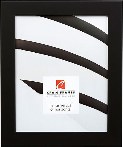 Craig Frames Bauhaus 125, 17x22 Picture Frame, Black Satin Mica