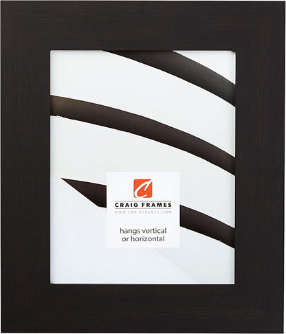 Craig Frames 18x36 Dark Brown Poster Frame for Posters and Gallery Wall | Lightweight shatter resistant acrylic facing with a rigid backing board, made in the USA
