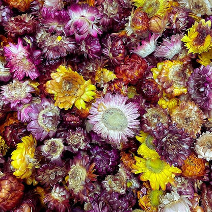 Edible Dried Mixed Flowers & Orange Slices Bundle, 100% Natural Garnish for Cocktails, Tea, Cake Decoration & Desserts, PET Jars, 7.05 oz Total