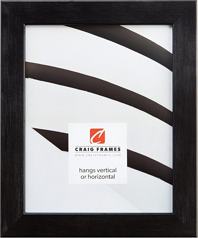 Craig Frames Bauhaus, Modern Black Pine Picture Frame, 24 by 36-Inch