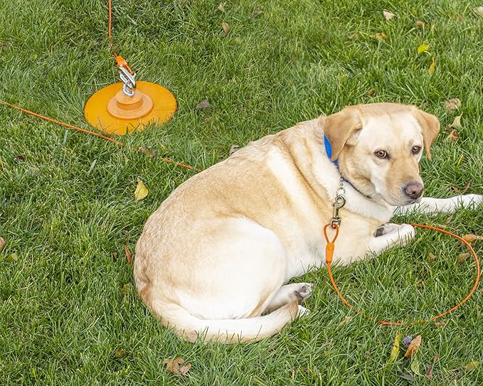 30FT Tie-Out Cables for Dogs - Strong, Safe, and Durable Dog Tie-Outs for Small Dogs up to 90 Pounds - Weather and Wear Resistant Galvanized Aircraft Cable for Outside Use