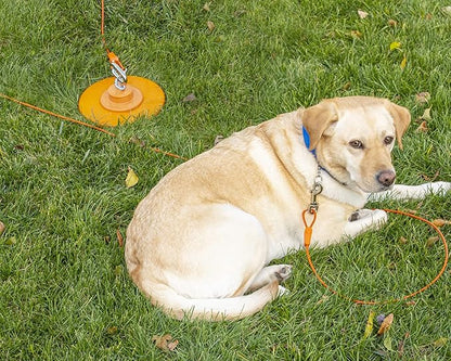 25FT Tie-Out Cables for Dogs - Strong, Safe, and Durable Dog Tie-Outs for Every Breed up to 250 Pounds - Weather and Wear Resistant Galvanized Aircraft Cable for Outside Use