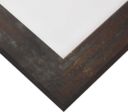 Craig Frames 5x7 Weathered Steel Picture Frame for Posters and Gallery Wall | Displays photos and prints behind clear glass, ready to hang, made in the USA