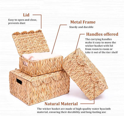 Set of 3 Scalloped Edge Wicker Basket with Lid, Rectangle Wicker Storage Basket with Built-in Handles, Multipurpose Organizer Rattan Display Boxes for Shelf, Nursery Room