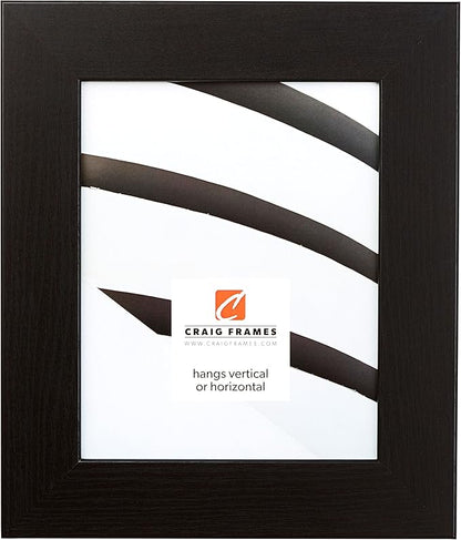 Craig Frames 14x20 Black Oak Picture Frame for Posters and Gallery Wall | Lightweight shatter resistant acrylic facing with a rigid backing board, made in the USA