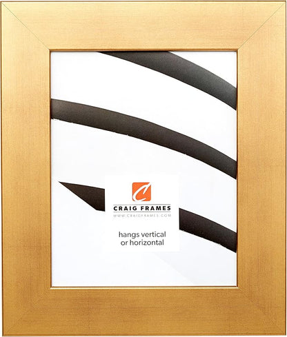 Craig Frames 16x24 Old World Gold Picture Frame for Posters and Photos | Lightweight shatter resistant acrylic facing with a rigid backing board, made in the USA
